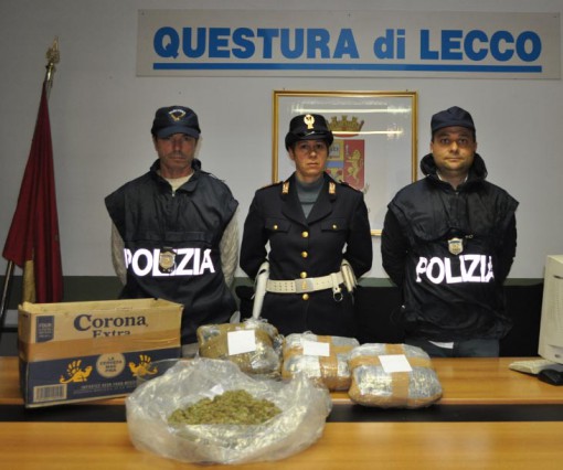 marijuana sequestro