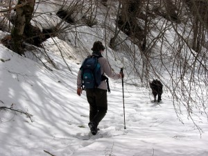 montagna sicura neve