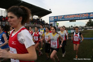 Atletica Campestre Campaccio 2014 (27)