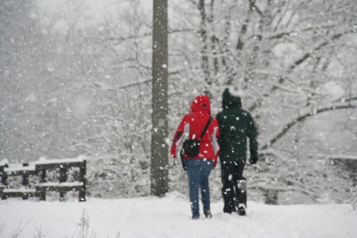 Ciclabile gennaio 2014 ( (5)