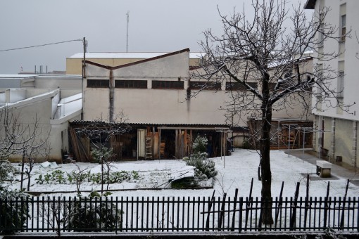 Mandello neve - 14 gennaio foto bottagisi