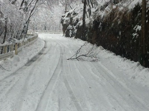 Neve Strada per Indovero