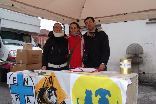 Raccolta firme canile (2)