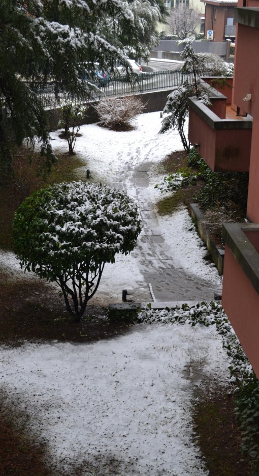 neve mandello 14 gennaio Bottagisi (3)