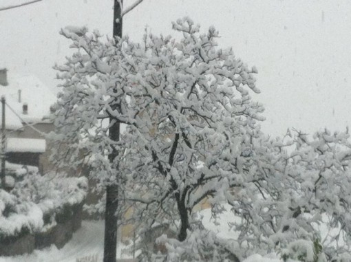 neve zona casargo (2)