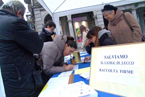 raccolta firme canile (2)