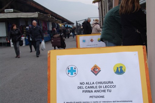 raccolta firme canile