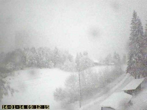 resinelli rifugio soldanella - neve 14 gennaio