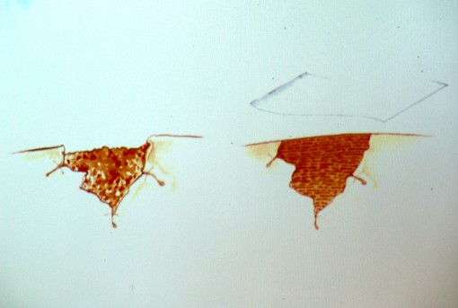 ricostruzione ferite Cecilia