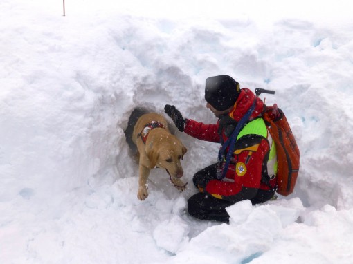 sicuri-con-la-neve (12)