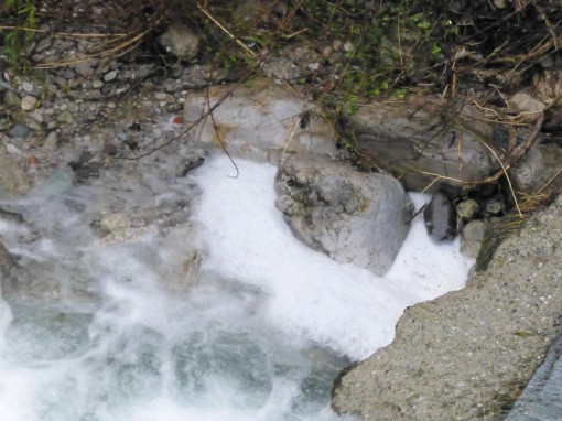 sversamento-bione (13)