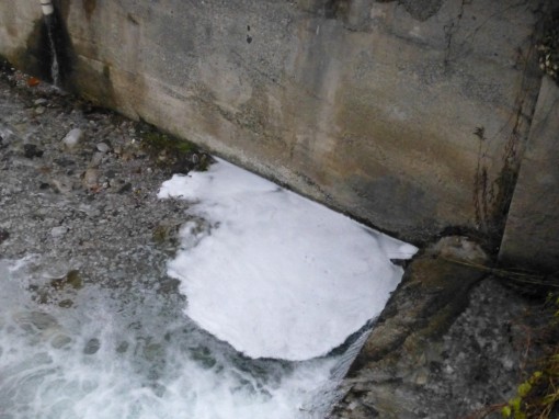 sversamento-bione (3)