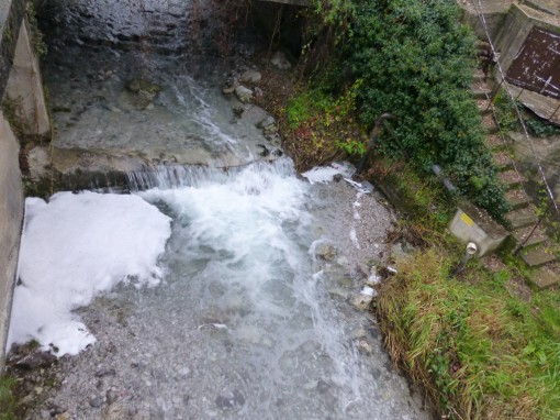 sversamento-bione (4)