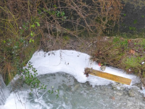 sversamento-bione (6)