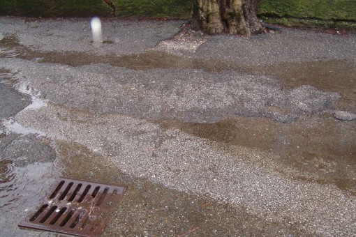 Asfalto - via Carlo Porta