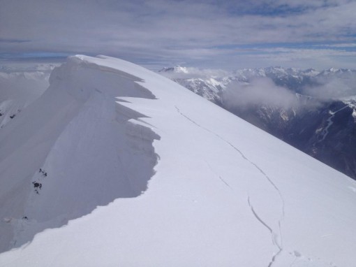 Brioschi febbraio 2014 (4)