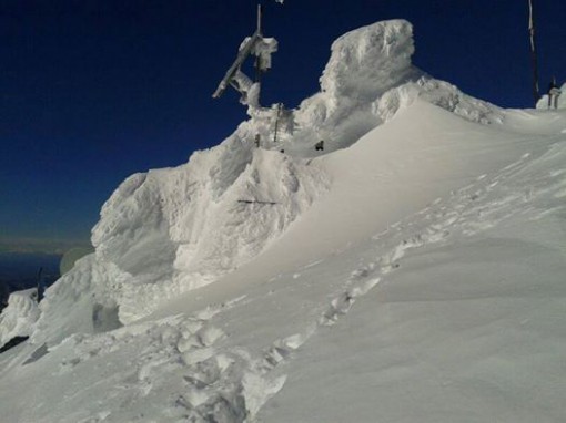 Brioschi febbraio 2014 (5) foto Claudio Ghezzi