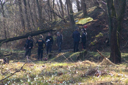 Castello Brianza - travolto da un albero