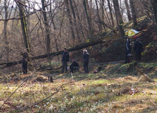 Castello bza - travolto da un albero (3)