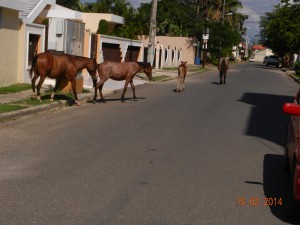 Repubblica Dominicana San Francisco de Macoris (7)