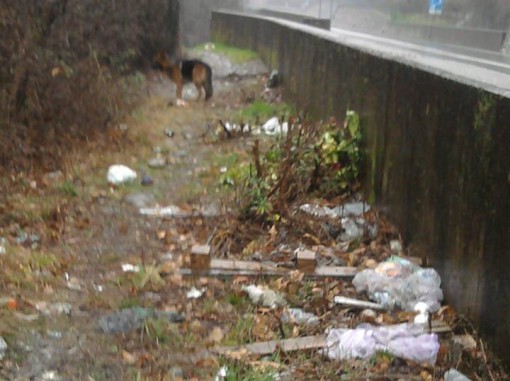 Sentiero Acquate - Ballabio