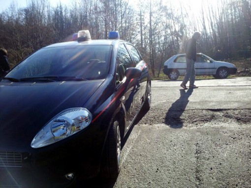 castello brianza deceduto albero (2)