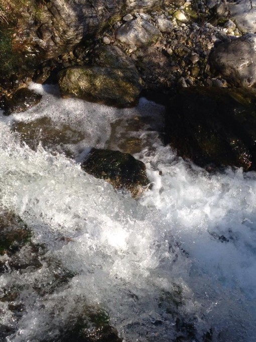 1940096_10202138141789942_1650892069_n