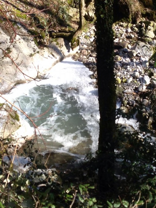 963089_10202138141869944_383343210_n