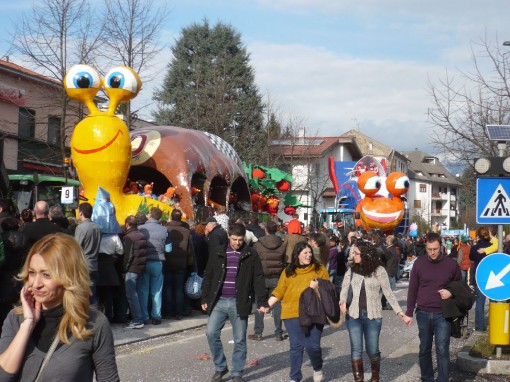 Carnevale - Oggiono 2014 (2)