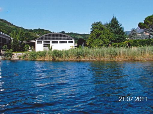 Garlate - il canneto prima dei lavori