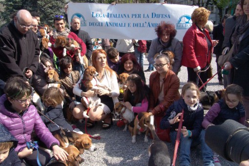 MARCIA BEAGLE GREEN HILL - LECCO 29 MARZO (13)