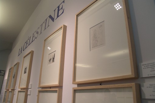 Picasso - Mostra Palazzo Paure (20)