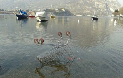 carrello spesa nel lago