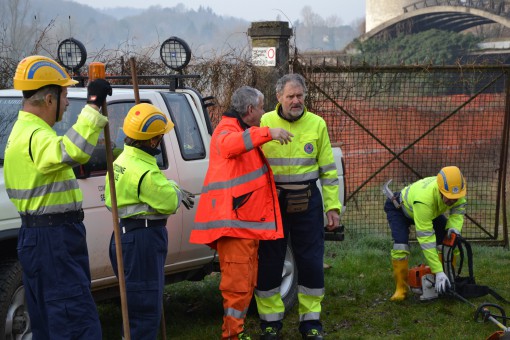 foto geom. elena conti (1)