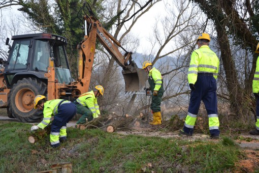 foto geom. elena conti (2)