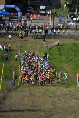 (Si ringrazia Stefano Galloro)