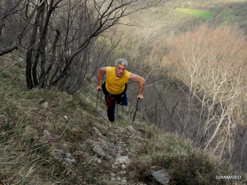 Oliviero Bellinzani Erna (55)