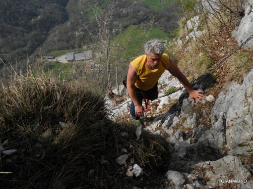 Oliviero Bellinzani Erna (59)