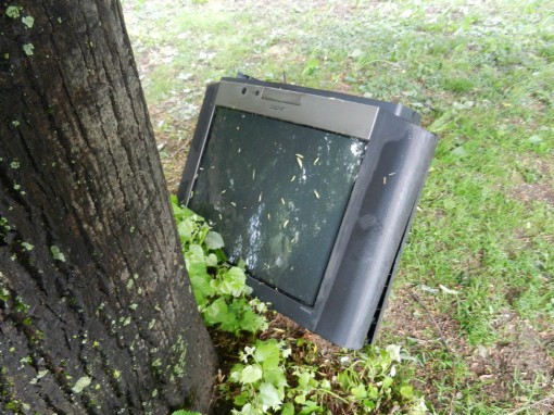 Rifiuti Pescarenico (3)