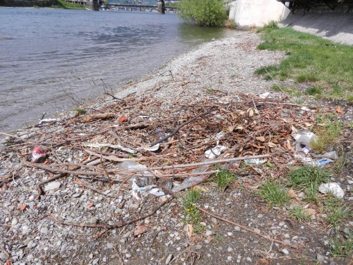 Rifiuti Pescarenico (4)