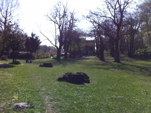 Nucleo nuovo di Campo de Boi