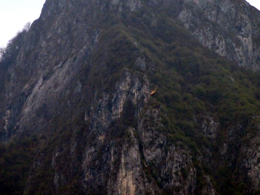 ??????????????????????