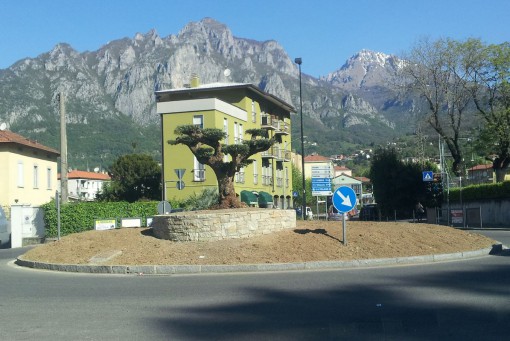 rotonda ulivo via Eremo (2)