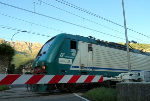 Treno Trenord (2)