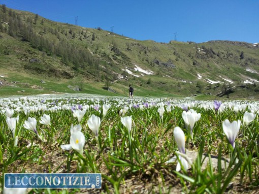 Val biandino crochi (5)