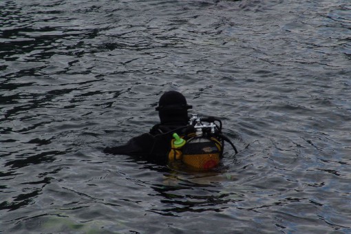 boa malgrate - vigili del fuoco - pilotina (7)