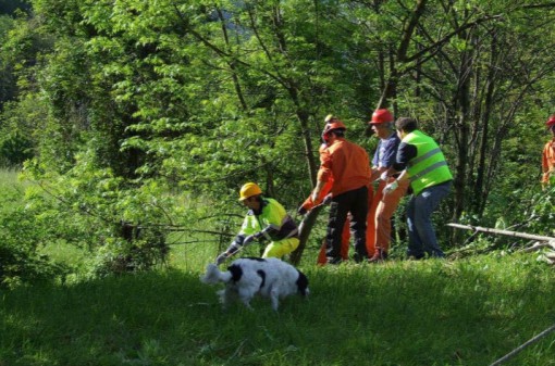 bonifica torrente grigna 3