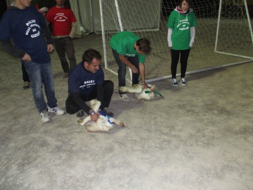 corsa delle oche (19)