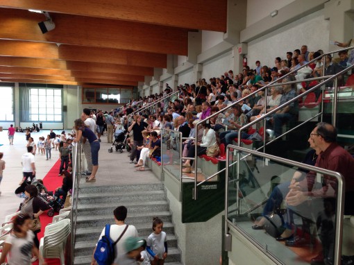 gal -saggio ghislanzoni (2)