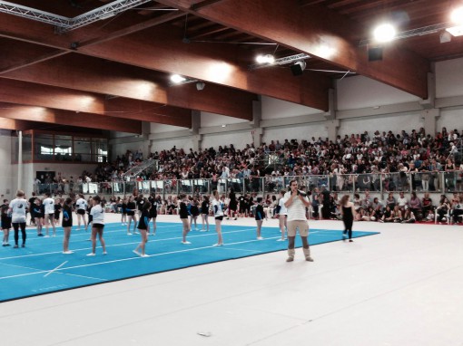 gal -saggio ghislanzoni (3)